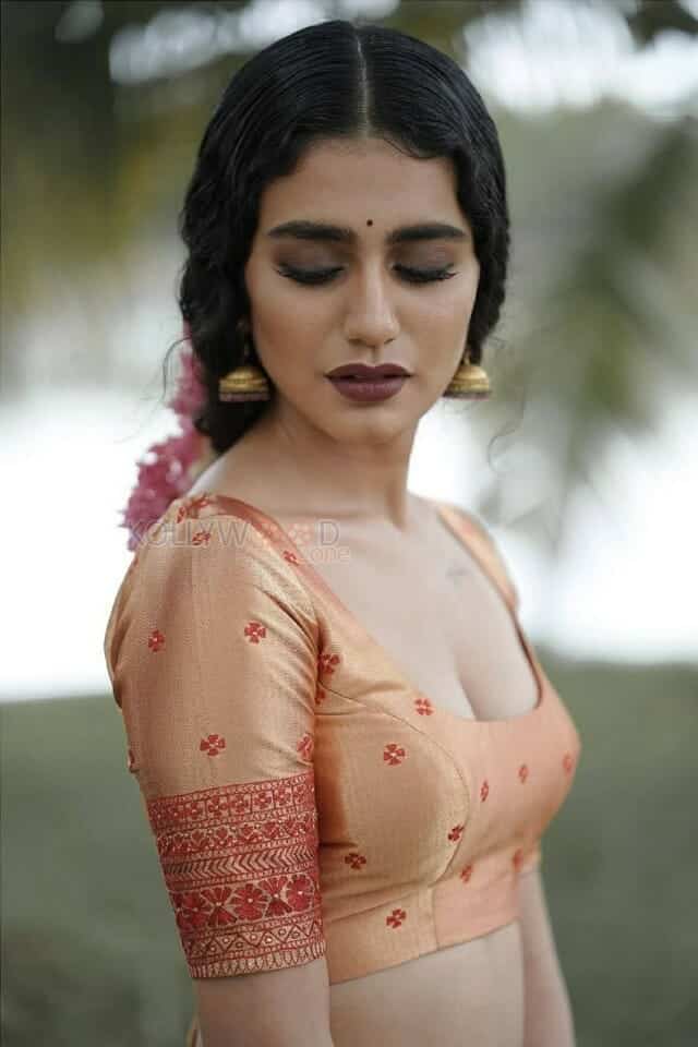 Exquisite Priya Prakash Varrier in an Ethnic Wear Photos 02