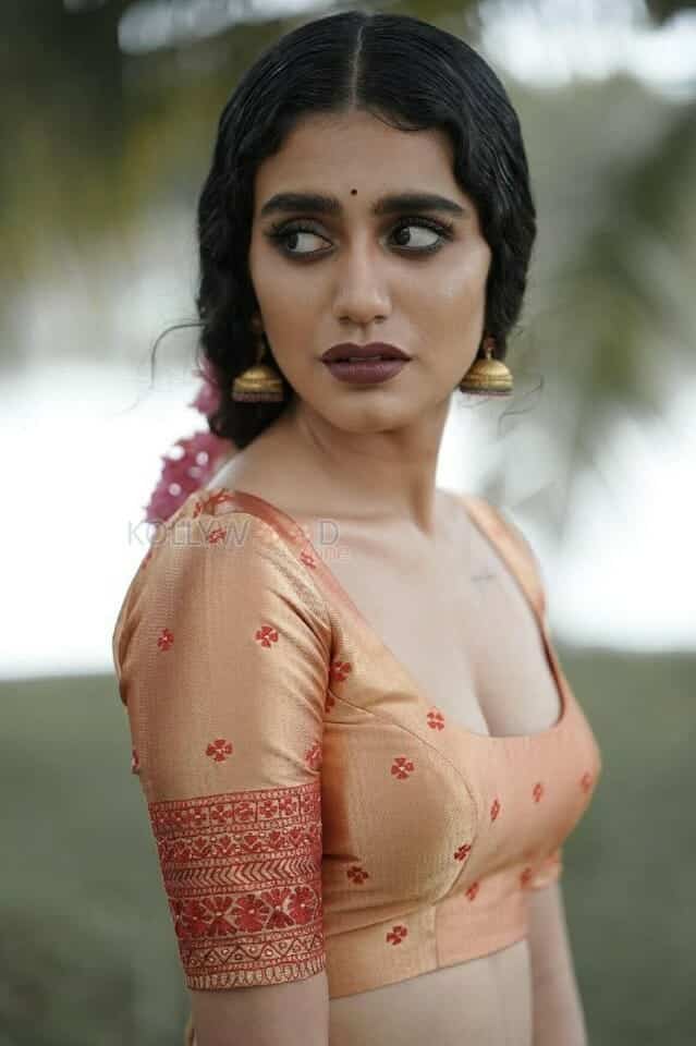 Exquisite Priya Prakash Varrier in an Ethnic Wear Photos 03