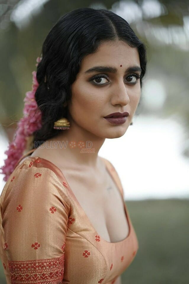 Exquisite Priya Prakash Varrier in an Ethnic Wear Photos 05