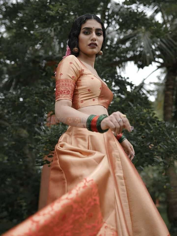 Exquisite Priya Prakash Varrier in an Ethnic Wear Photos 06