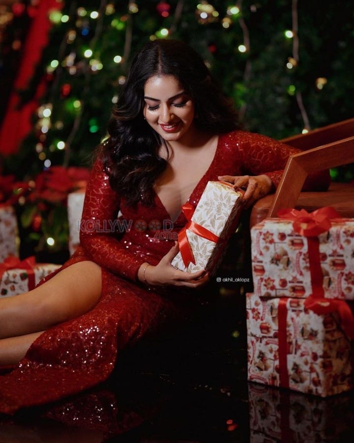 Glamorous Malavika Menon in a Christmas Red Dress Photos 04