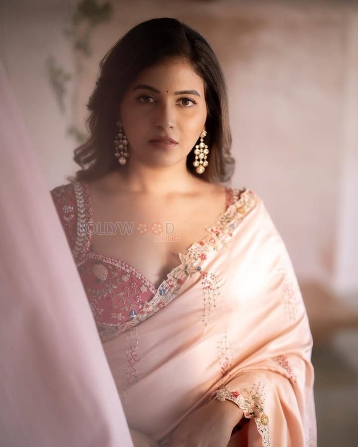 Gorgeous Anjali in a Light Pink Saree Pictures 04