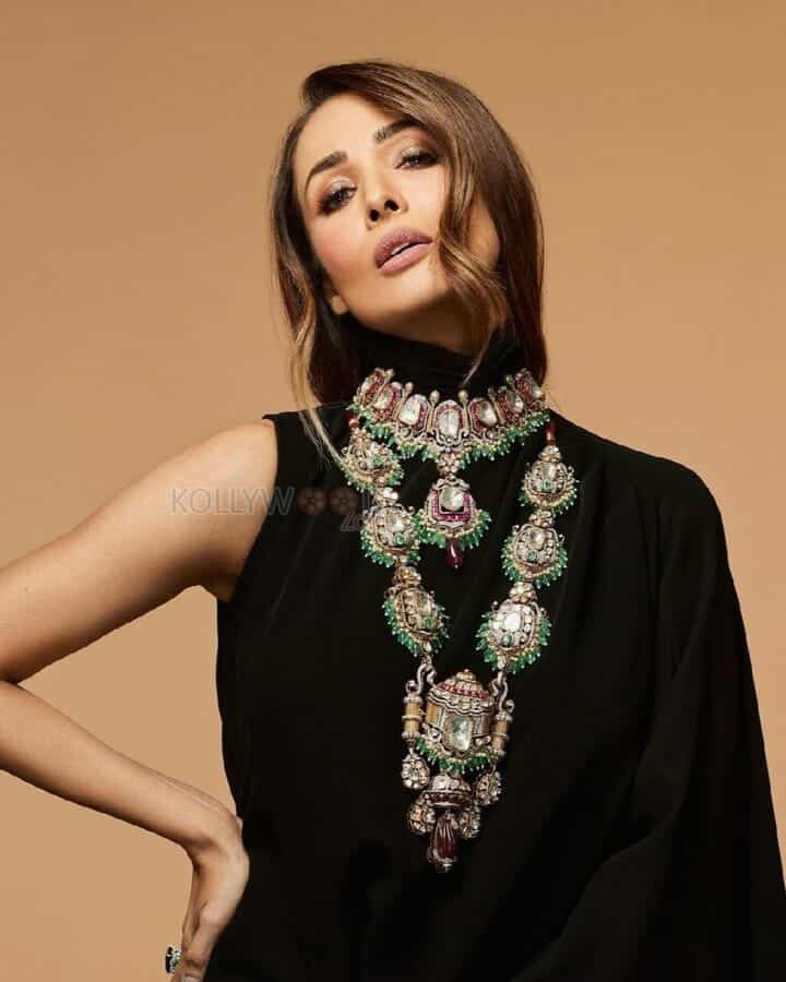 Gorgeous Lady Malaika Arora Stunning Pictures 05