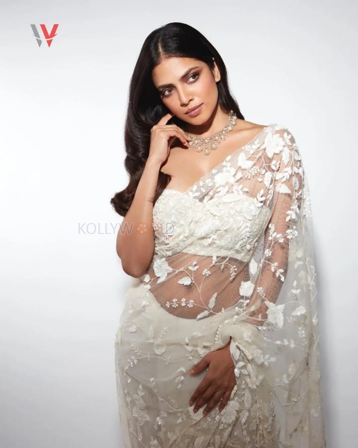 Gorgeous Malavika Mohanan in a See Through Embroidered Net Saree Photos 03