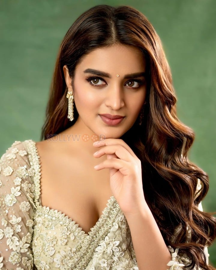 Gorgeous Nidhhi Agerwal in a White Floral Saree Pictures 04