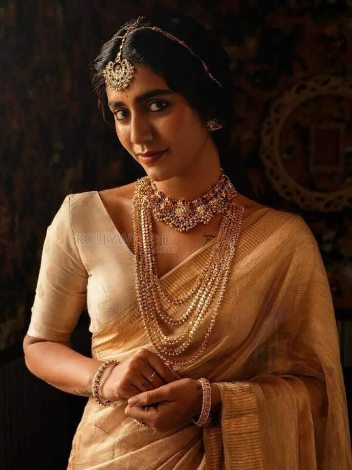 Gorgeous Priya Prakash Varrier in Golden Saree Pictures 01