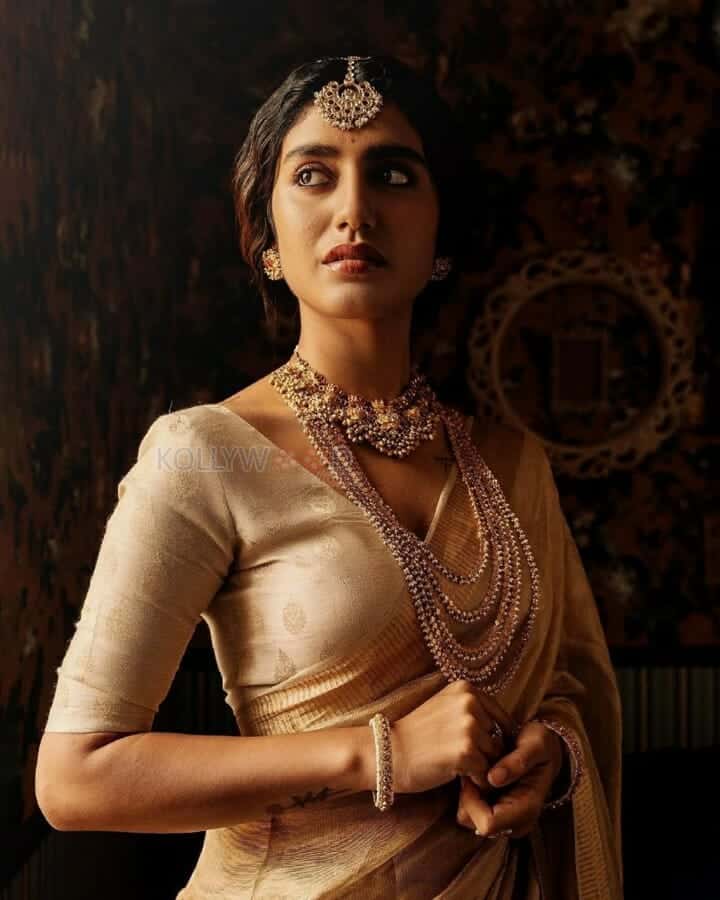 Gorgeous Priya Prakash Varrier in Golden Saree Pictures 02