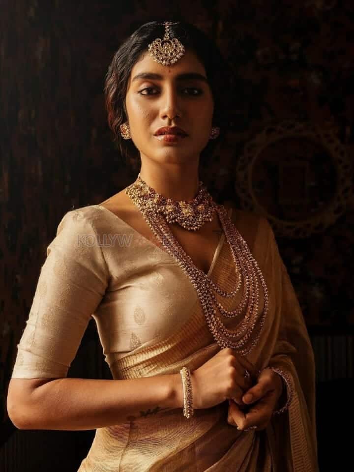 Gorgeous Priya Prakash Varrier in Golden Saree Pictures 03