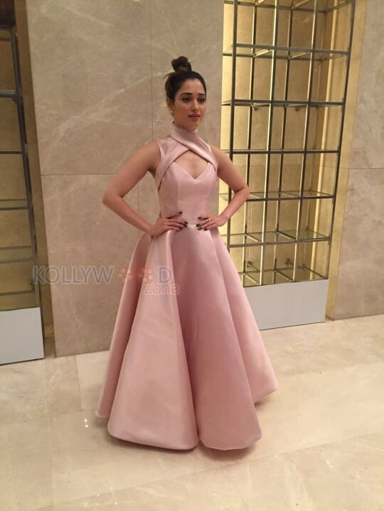 Gorgeous Tamannaah In A Mark Bumgarner Gown For The Vanitha Awards Photos