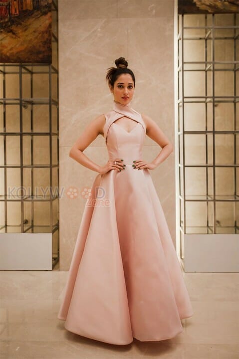 Gorgeous Tamannaah In A Mark Bumgarner Gown For The Vanitha Awards Photos