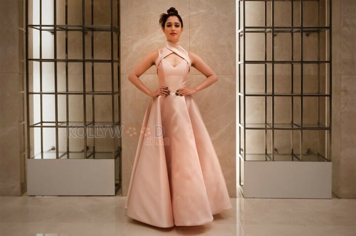 Gorgeous Tamannaah In A Mark Bumgarner Gown For The Vanitha Awards Photos