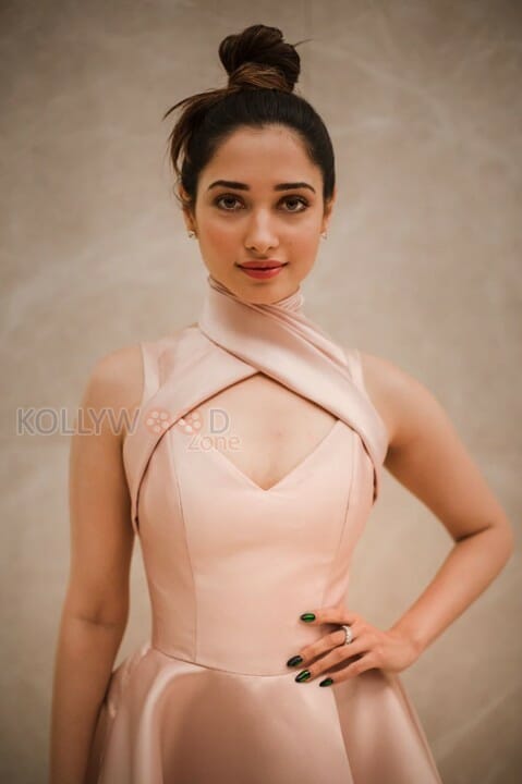 Gorgeous Tamannaah In A Mark Bumgarner Gown For The Vanitha Awards Photos