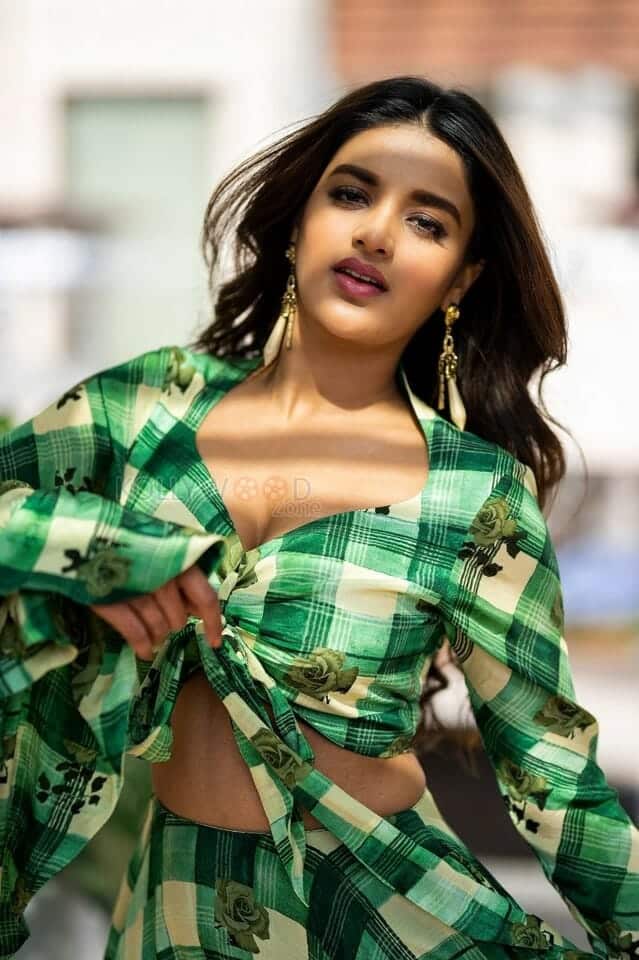 Graceful Nidhhi Agerwal Photoshoot Pictures 02