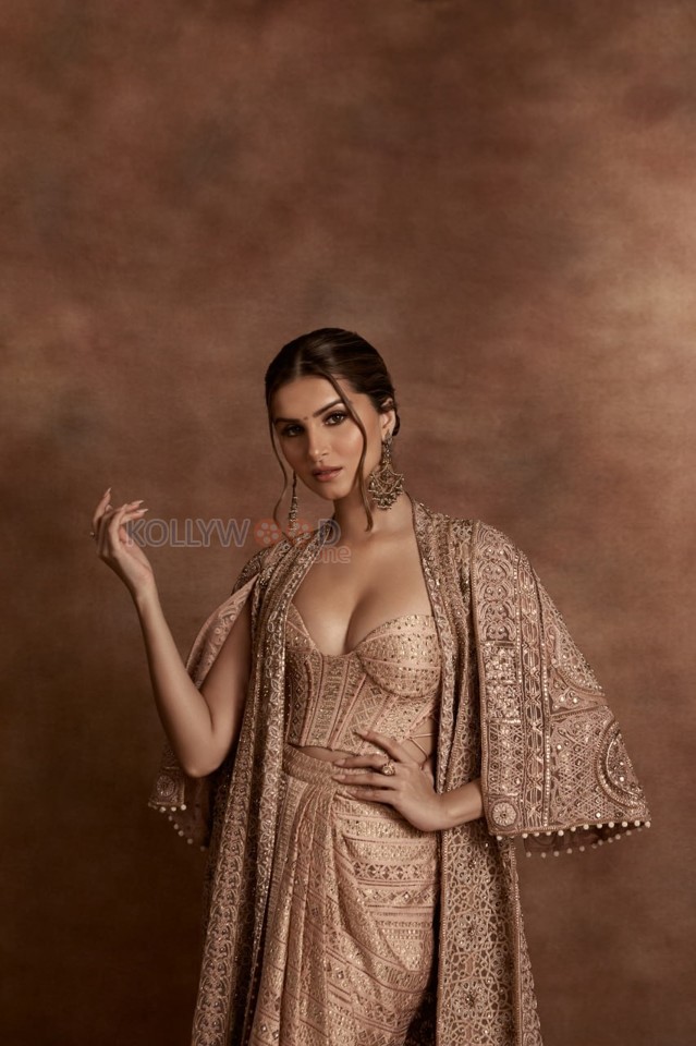 Graceful Tara Sutaria in a Stunning Ethnic Golden Embroidered Gown Photos 01