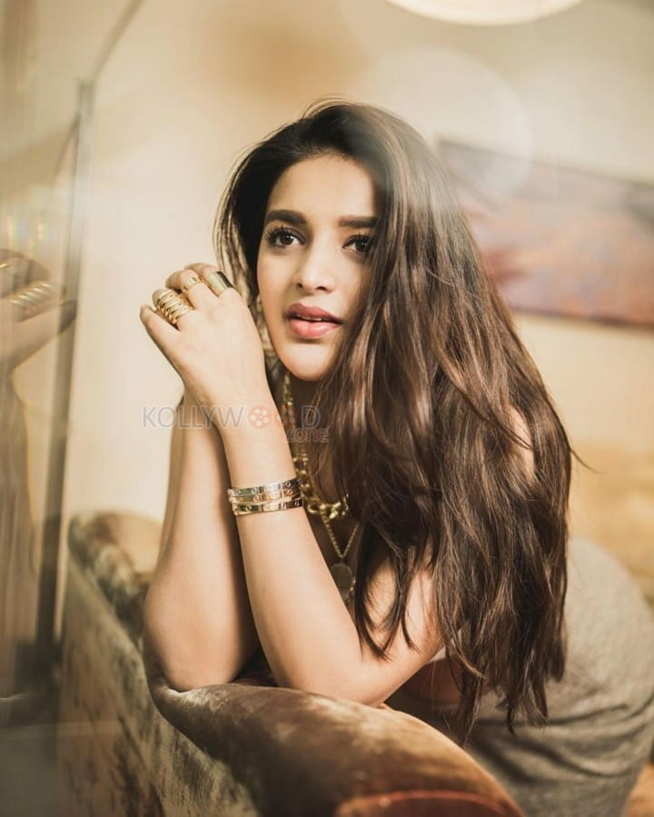 Hari Hara Veera Mallu Heroine Nidhhi Agerwal Sexy Photos