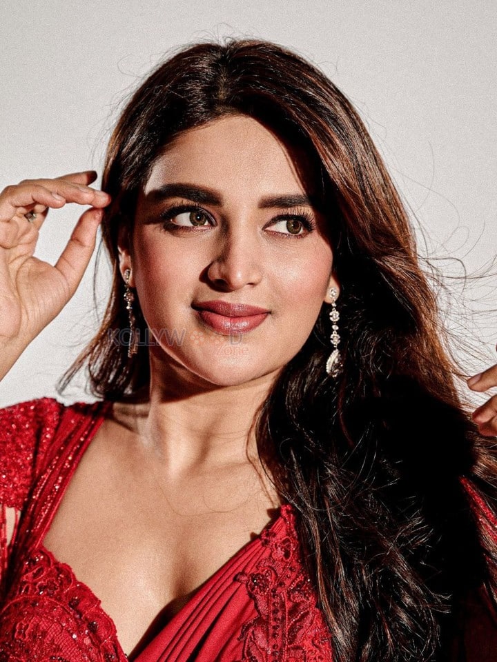 Hari Hara Veera Mallu Part 1 Heroine Nidhhi Agerwal in a Red Saree Photos 05