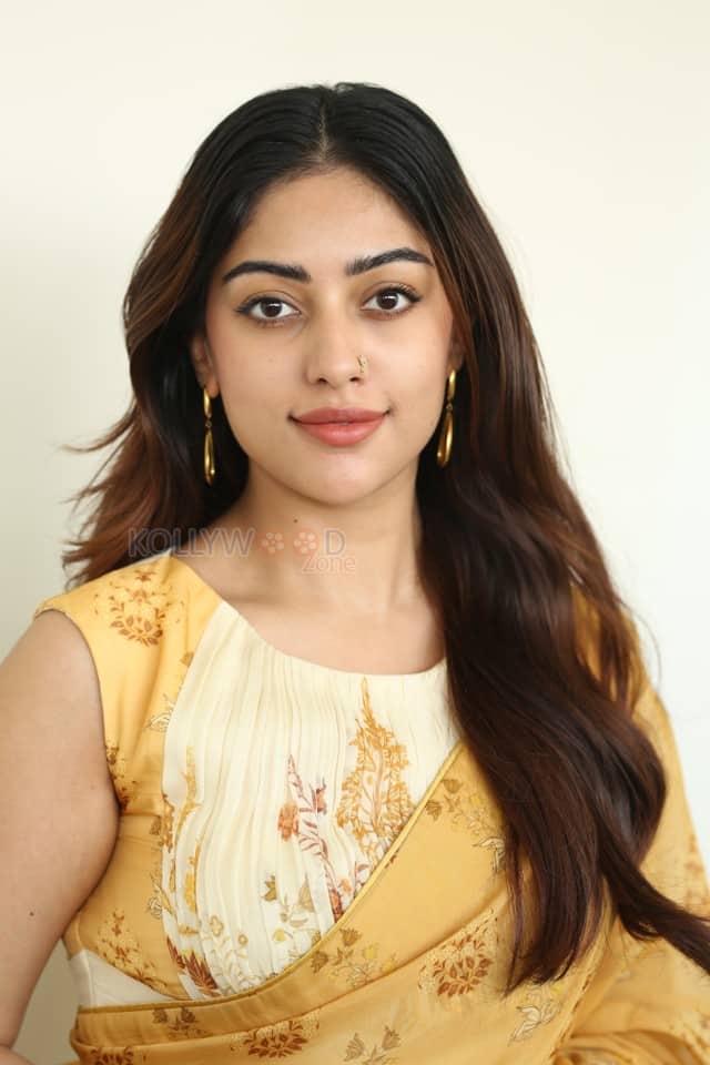 Heroine Anu Emmanuel at The Girlfriend Interview Photos 12
