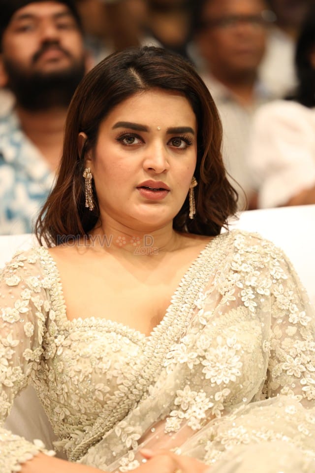 Heroine Nidhhi Agerwal at Hara Hara Veera Mallu Movie Asura Hananam Song Launch Event Photos 04