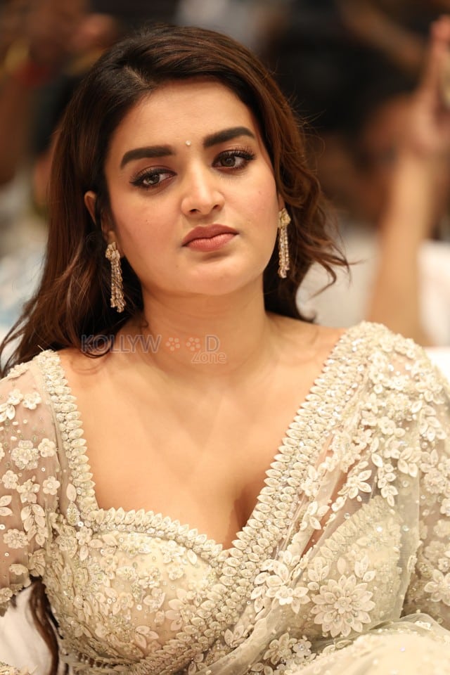 Heroine Nidhhi Agerwal at Hara Hara Veera Mallu Movie Asura Hananam Song Launch Event Photos 06