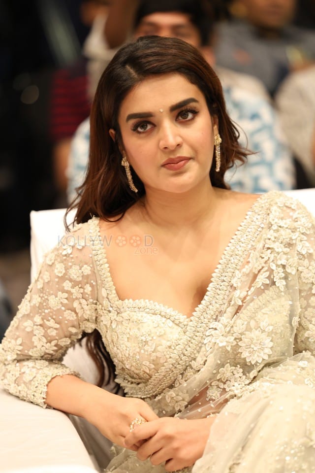 Heroine Nidhhi Agerwal at Hara Hara Veera Mallu Movie Asura Hananam Song Launch Event Photos 08