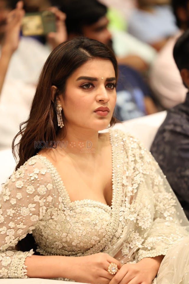 Heroine Nidhhi Agerwal at Hara Hara Veera Mallu Movie Asura Hananam Song Launch Event Photos 10