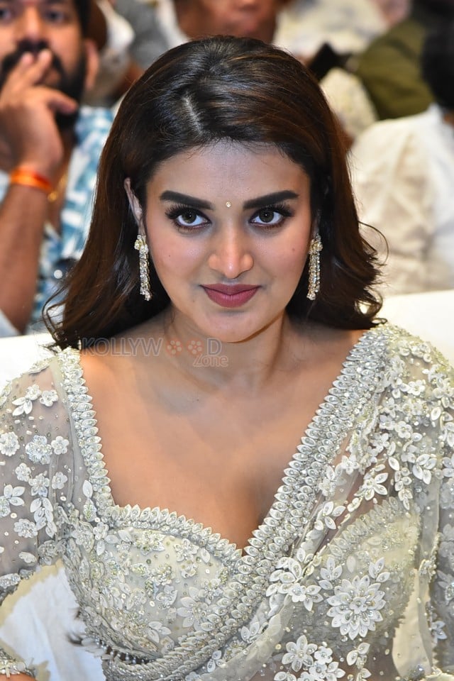 Heroine Nidhhi Agerwal at Hara Hara Veera Mallu Movie Asura Hananam Song Launch Event Photos 26