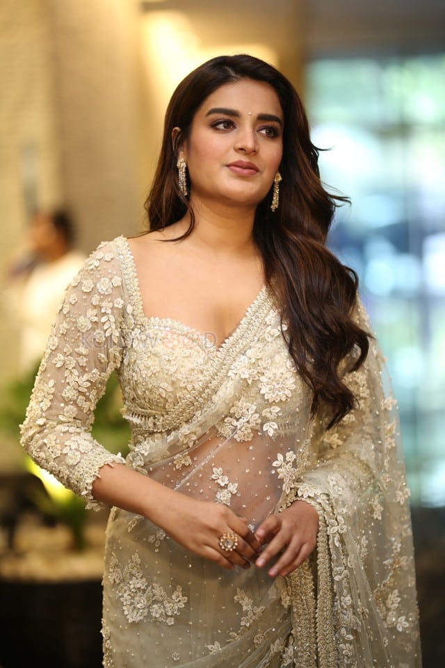 Heroine Nidhhi Agerwal at Hara Hara Veera Mallu Movie Asura Hananam Song Launch Event Photos 32
