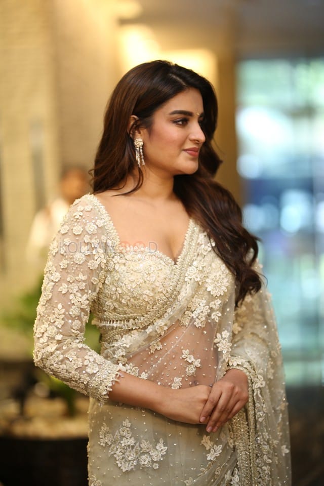 Heroine Nidhhi Agerwal at Hara Hara Veera Mallu Movie Asura Hananam Song Launch Event Photos 33