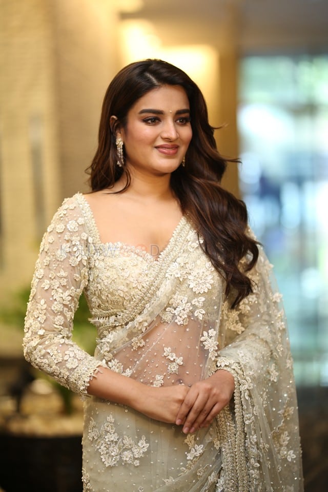 Heroine Nidhhi Agerwal at Hara Hara Veera Mallu Movie Asura Hananam Song Launch Event Photos 34