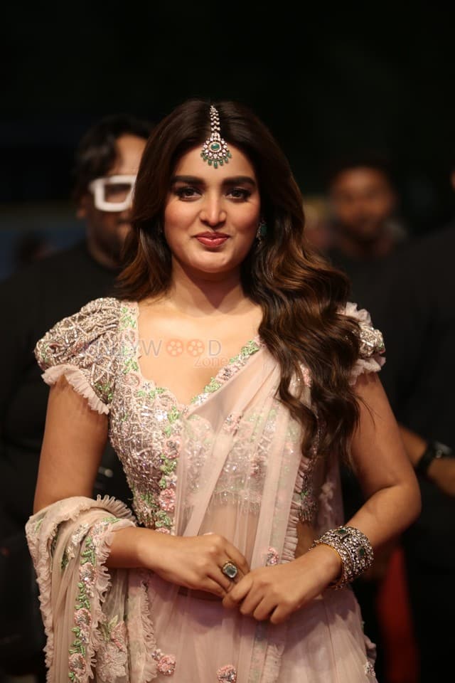 Heroine Nidhhi Agerwal at Hari Hara Veera Mallu Pre Release Event Pictures 02