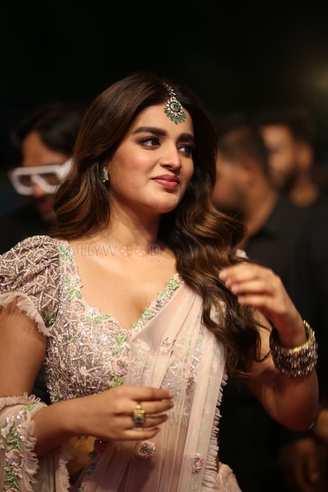 Heroine Nidhhi Agerwal at Hari Hara Veera Mallu Pre Release Event Pictures 04