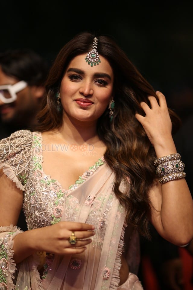 Heroine Nidhhi Agerwal at Hari Hara Veera Mallu Pre Release Event Pictures 05