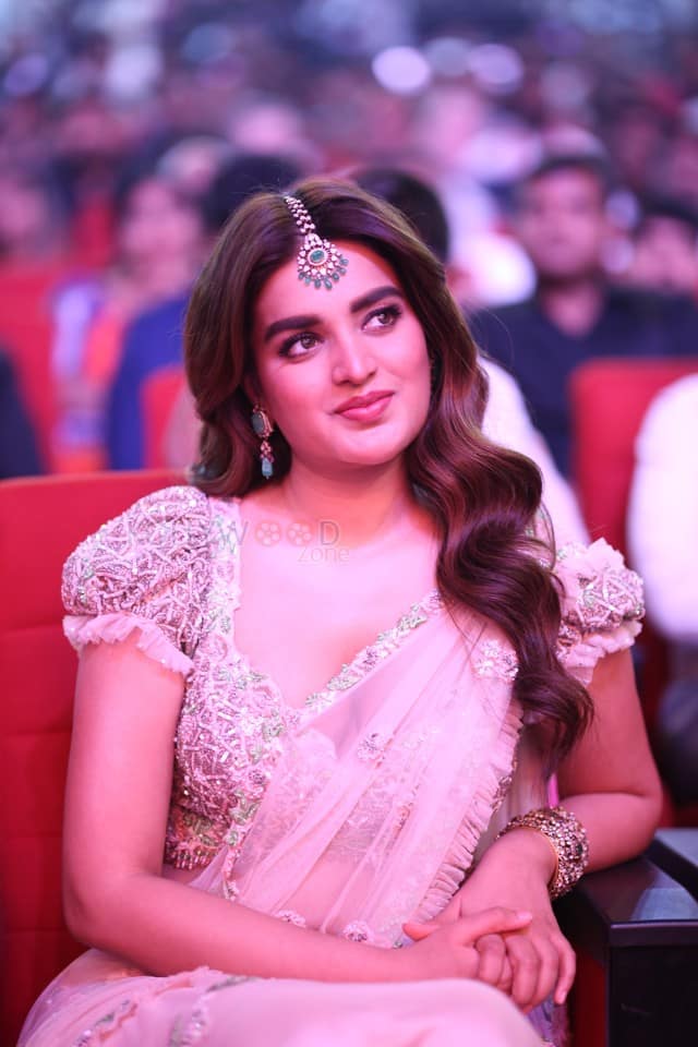 Heroine Nidhhi Agerwal at Hari Hara Veera Mallu Pre Release Event Pictures 09