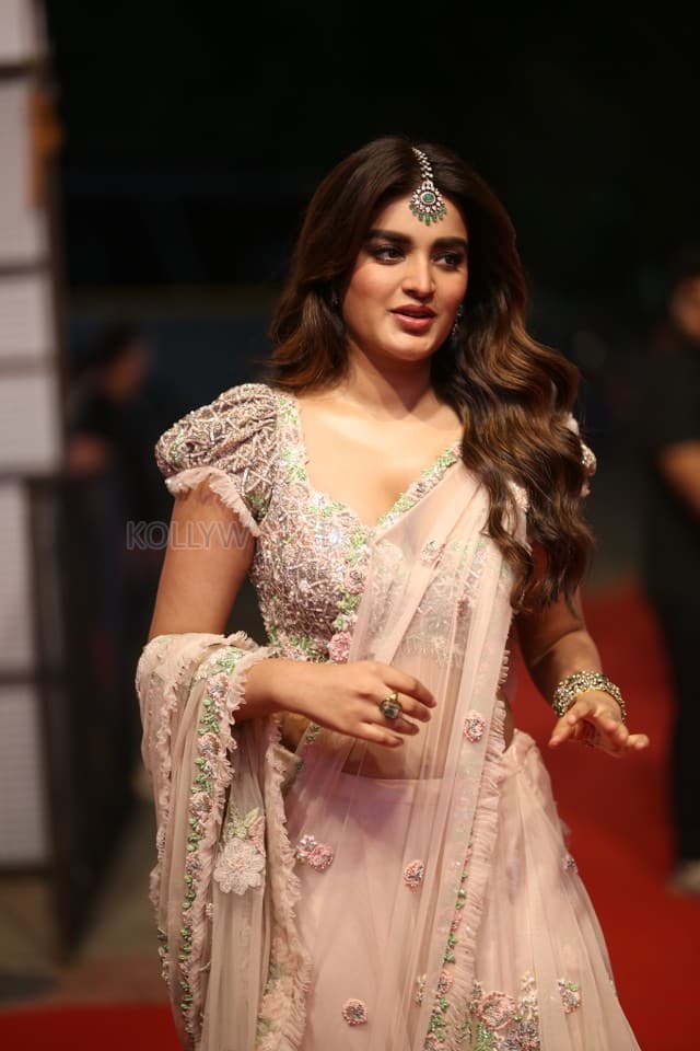 Heroine Nidhhi Agerwal at Hari Hara Veera Mallu Pre Release Event Pictures 15