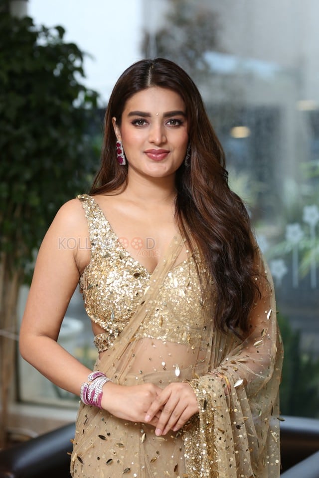 Heroine Nidhhi Agerwal at Hari Hara Veera Mallu Success Meet Photos 10