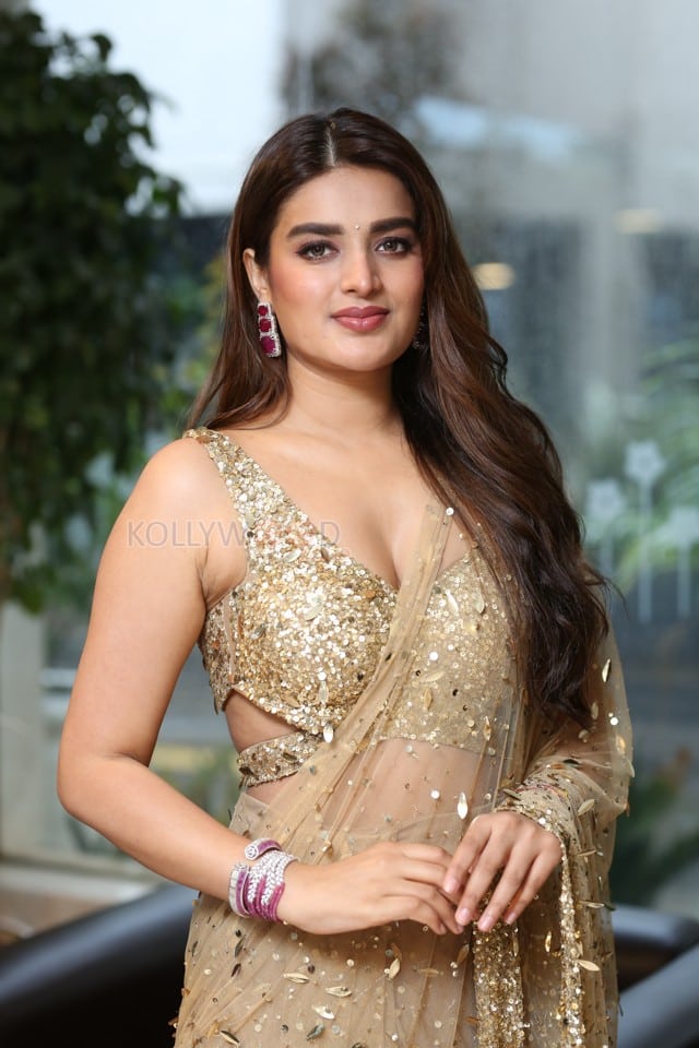 Heroine Nidhhi Agerwal at Hari Hara Veera Mallu Success Meet Photos 13