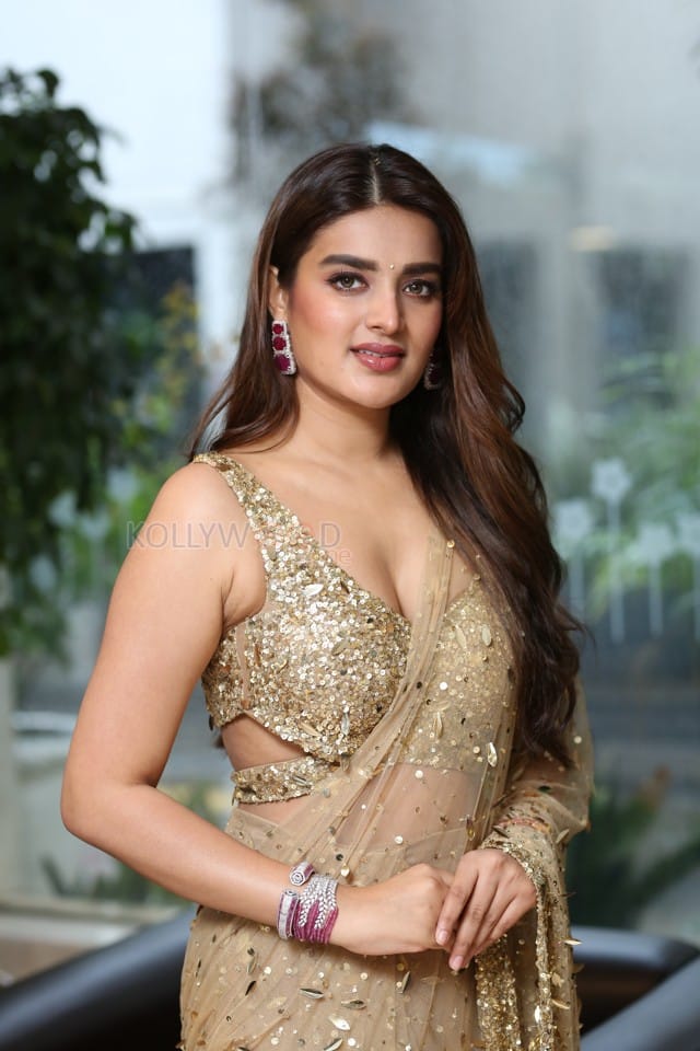 Heroine Nidhhi Agerwal at Hari Hara Veera Mallu Success Meet Photos 15