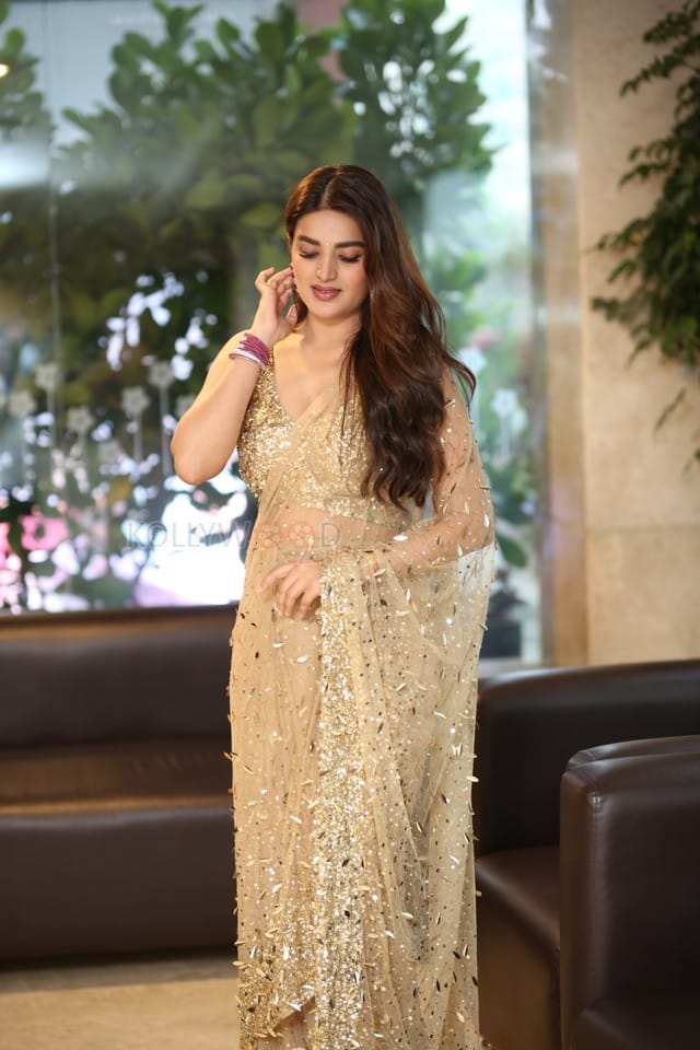 Heroine Nidhhi Agerwal at Hari Hara Veera Mallu Success Meet Photos 34