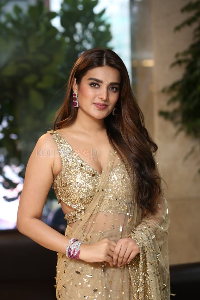 Heroine Nidhhi Agerwal at Hari Hara Veera Mallu Success Meet Photos 38