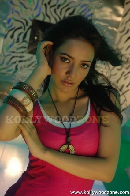 Hot And Sexy Neha Sharma Pics