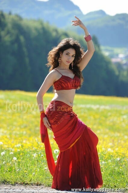 Hot And Sexy Tamanna Pics