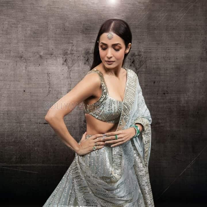 Hot Bollywood Actress Malaika Arora Photoshoot Stills 01