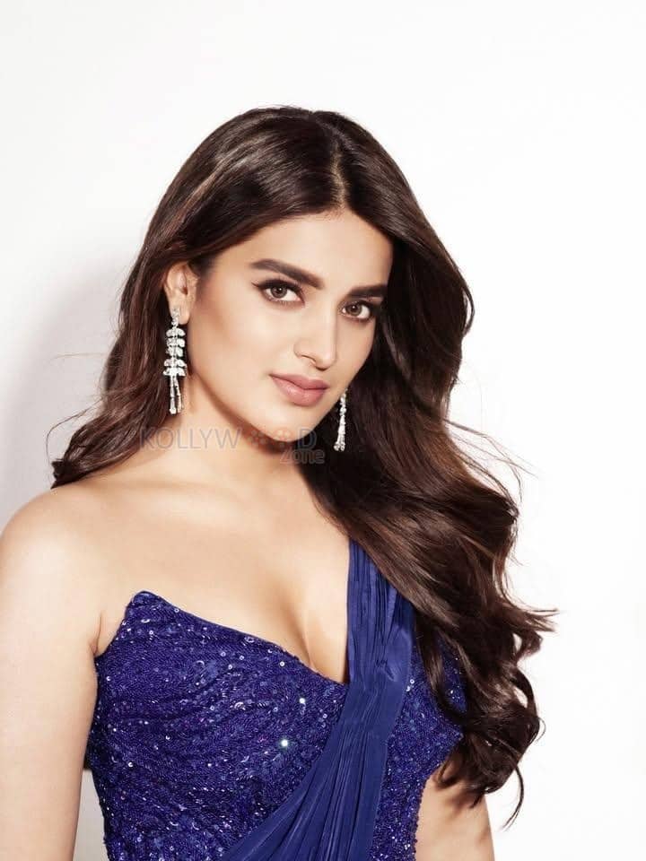 Hot Glam Nidhhi Agerwal in a Blue Saree with a Strapless Sleeveless Corset Style Blouse Photos 03