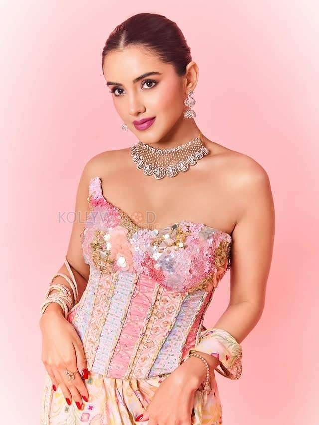 Hot Malvika Sharma in a Pastel Pink Sequined Embroidered Corset Top with Floral Embellishments and Pre Draped Saree Pictures 05