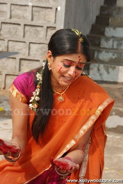 Hot Priyamani Photos