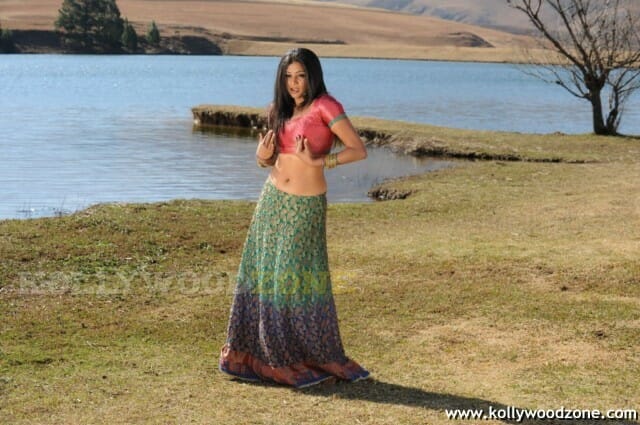 Hot Priyamani Pictures