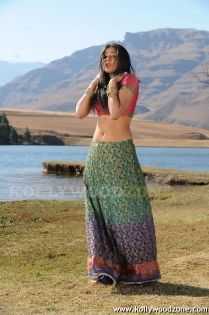 Hot Priyamani Pictures