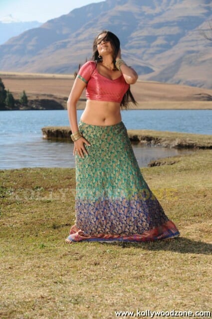 Hot Priyamani Pictures