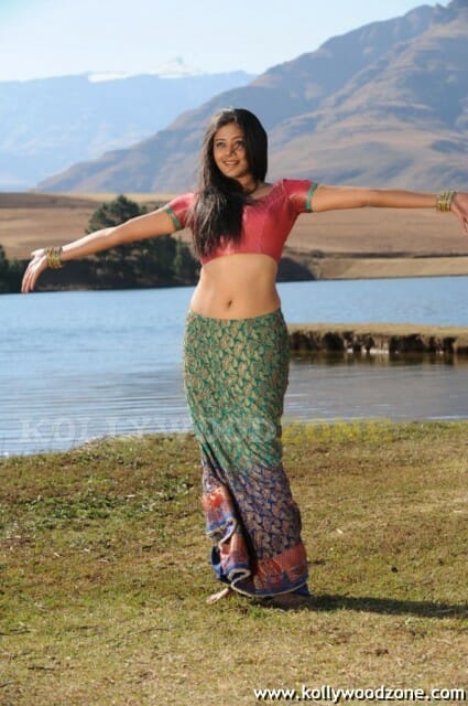 Hot Priyamani Pictures