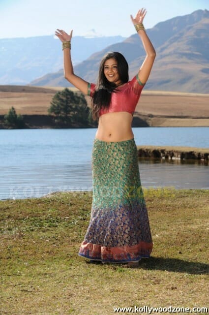 Hot Priyamani Pictures